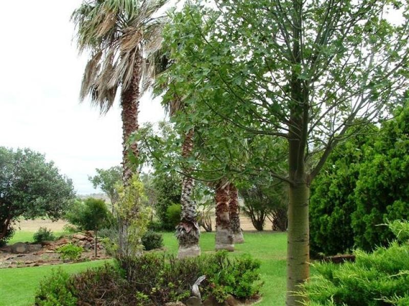 Kingsthorpe QLD 4400