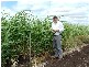 Kingsthorpe QLD 4400