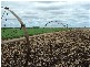 Kingsthorpe QLD 4400