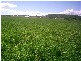 Wellcamp QLD 4350