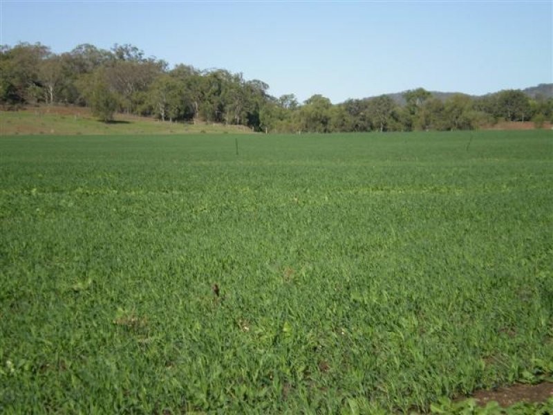 Wellcamp QLD 4350