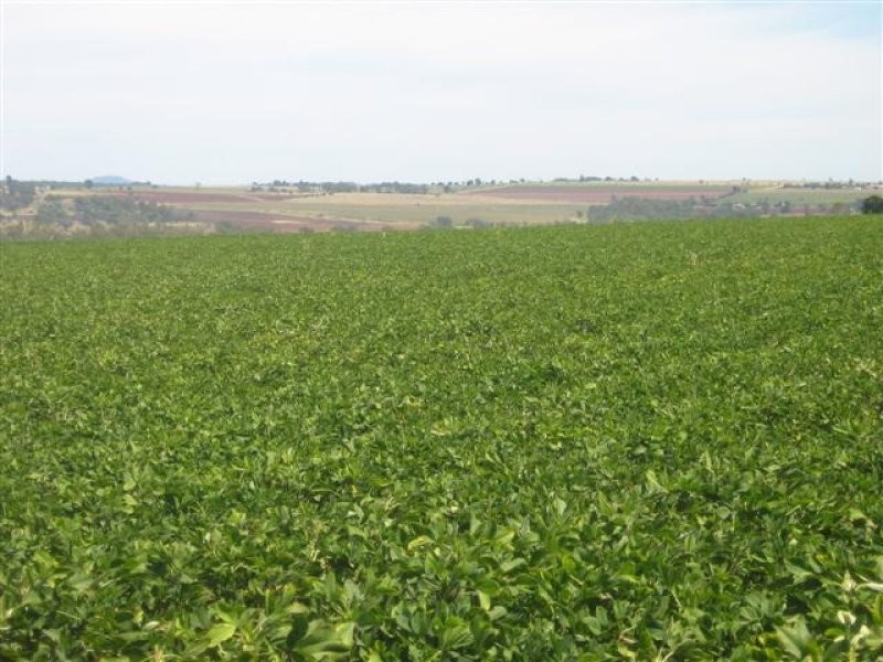 Kumbia QLD 4610