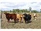 0 Kinkoona, Dalby QLD 4405