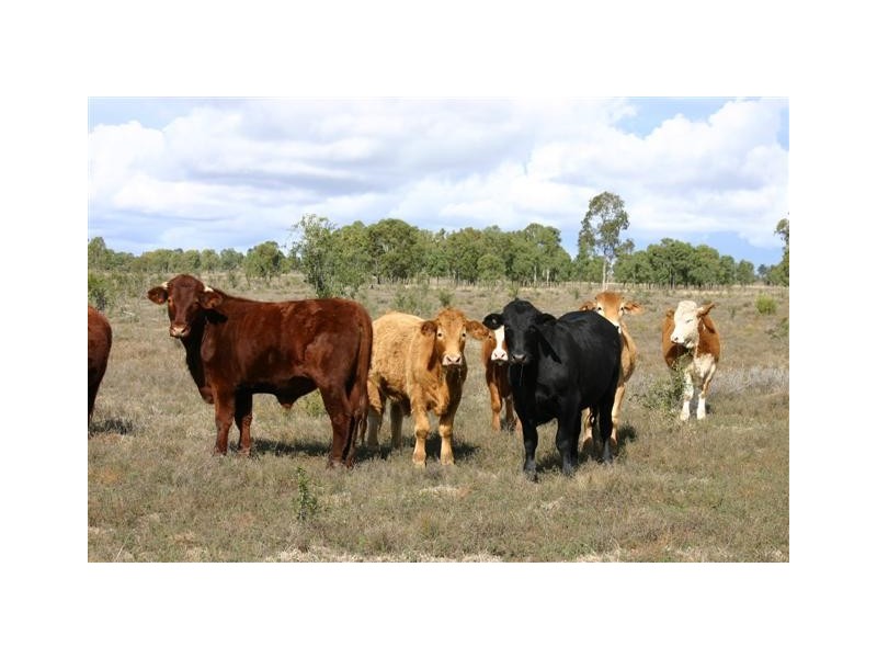 0 Kinkoona, Dalby QLD 4405