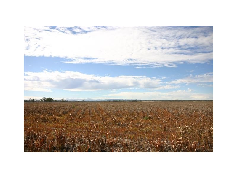 0 Kinkoona, Dalby QLD 4405