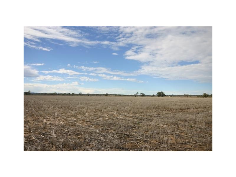 0 Kinkoona, Dalby QLD 4405