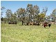 Dalby QLD 4405