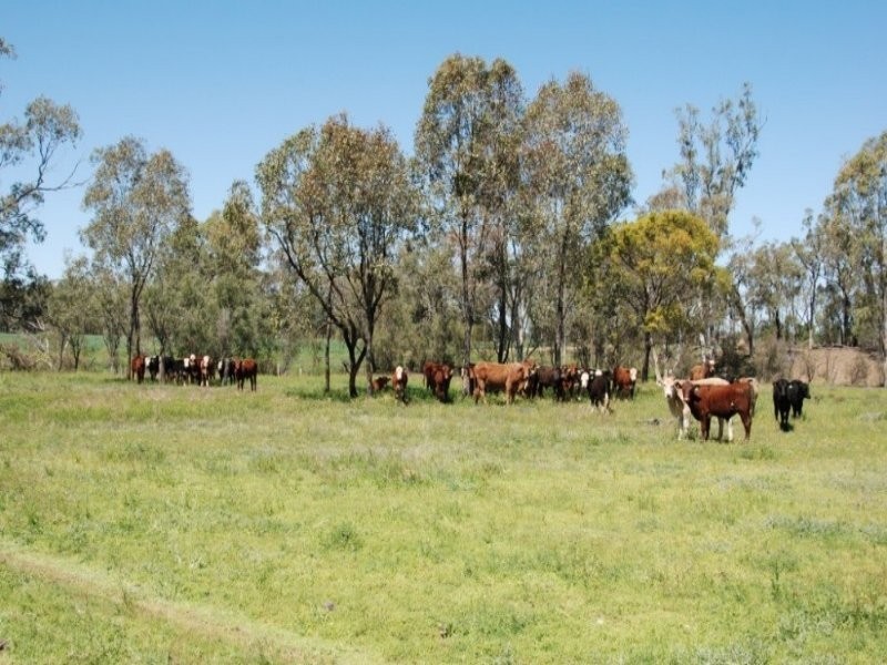 Dalby QLD 4405