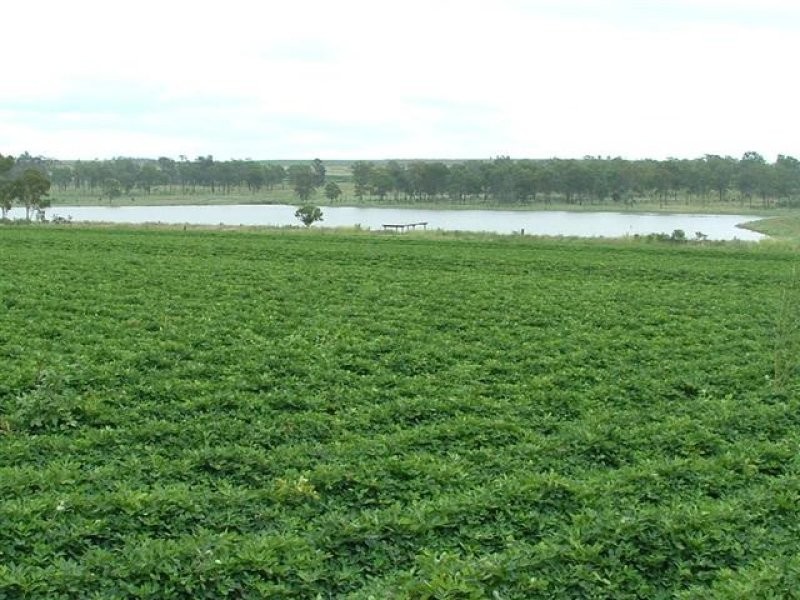Kumbia QLD 4610