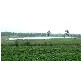 Kumbia QLD 4610