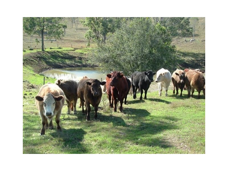 Kulpi QLD 4352