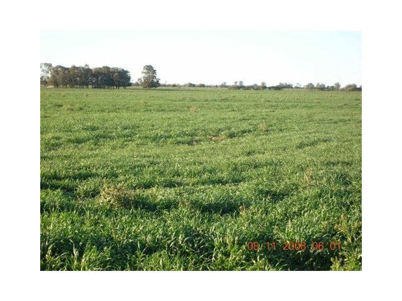 Meandarra QLD 4422