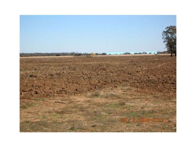 Meandarra QLD 4422