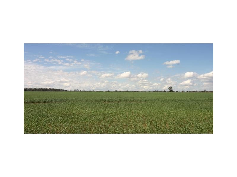 Tara QLD 4421