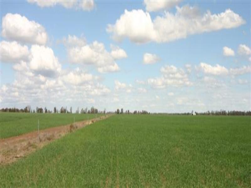 Tara QLD 4421