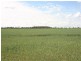 Tara QLD 4421
