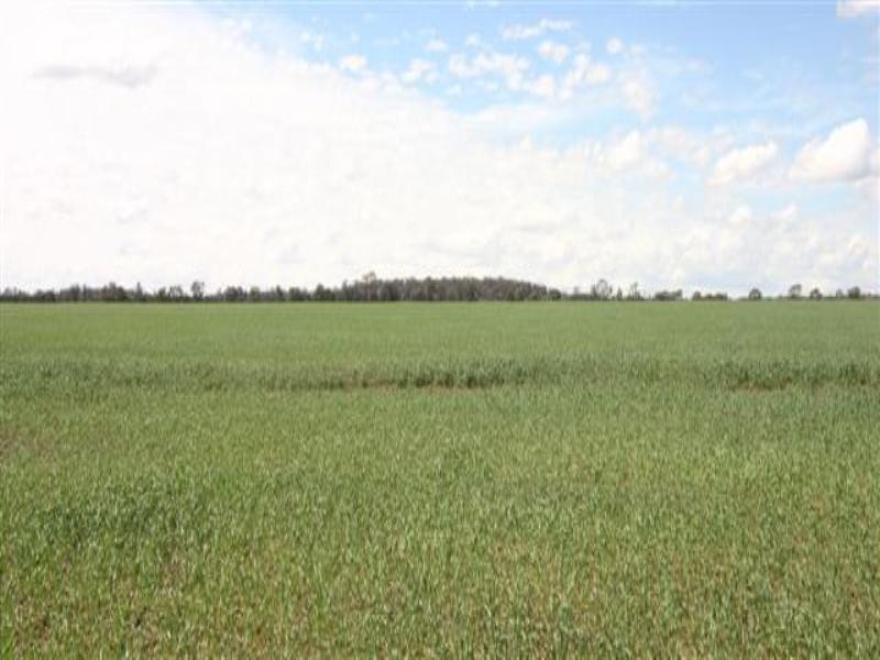 Tara QLD 4421