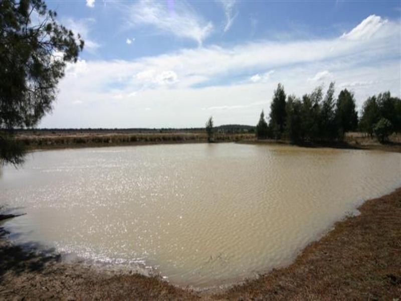 Tara QLD 4421