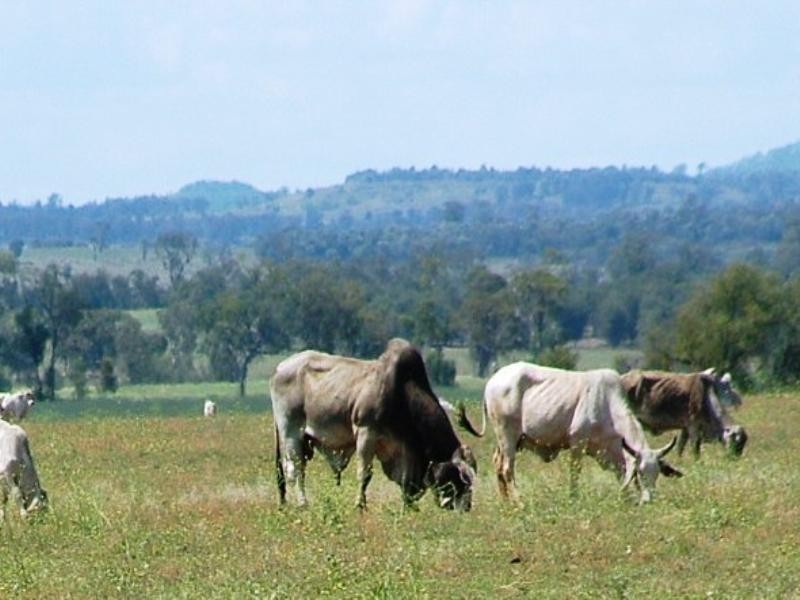 Brymaroo QLD 4403