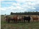 Meandarra QLD 4422