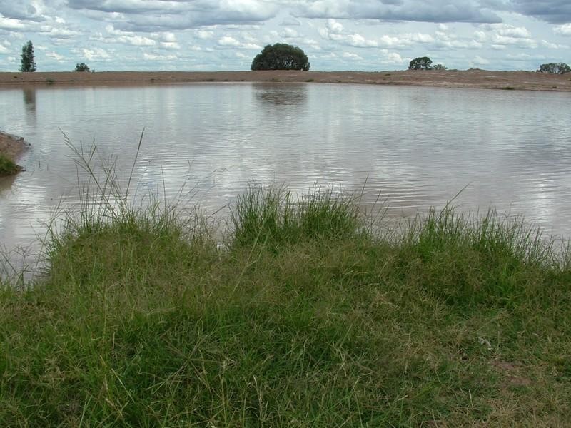 Meandarra QLD 4422