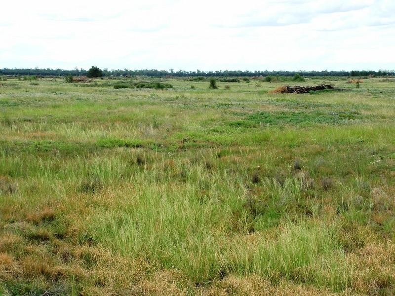 Meandarra QLD 4422