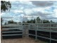 Meandarra QLD 4422