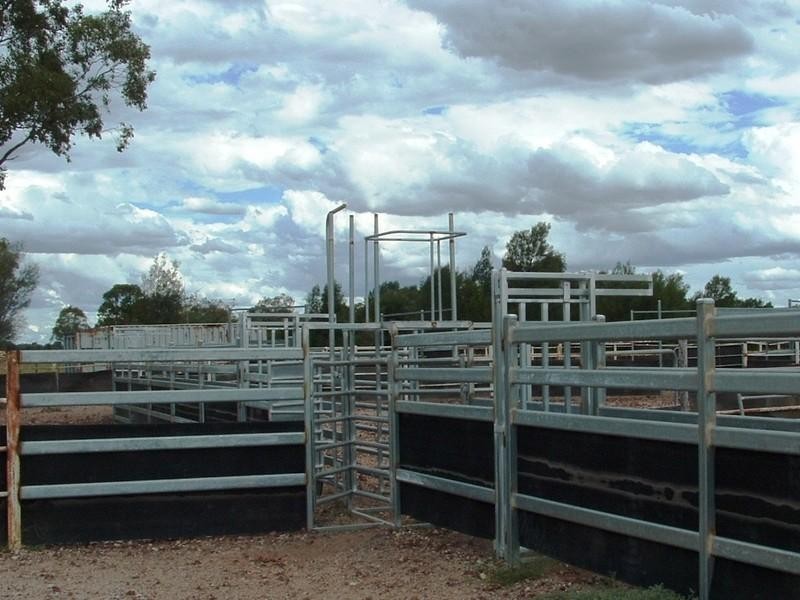 Meandarra QLD 4422