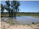 Tara QLD 4421
