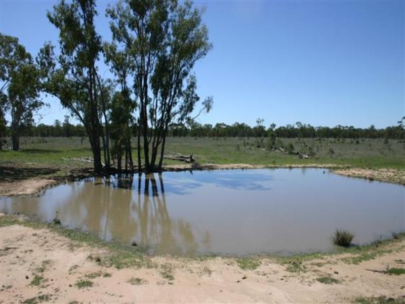 Tara QLD 4421