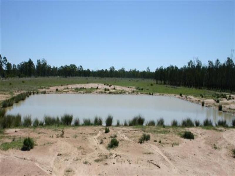 Tara QLD 4421