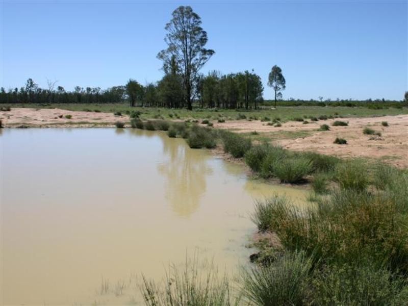 Tara QLD 4421