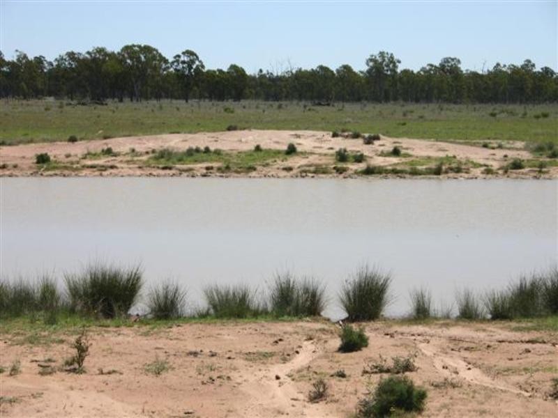 Tara QLD 4421