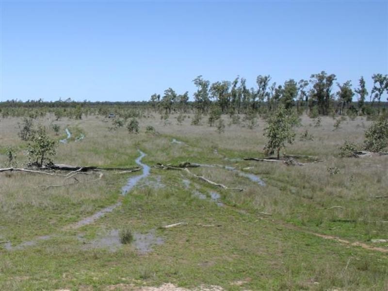 Tara QLD 4421