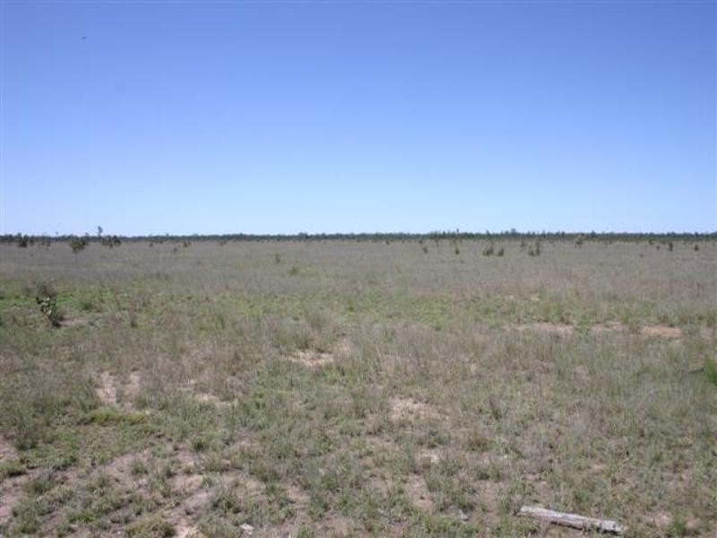 Tara QLD 4421