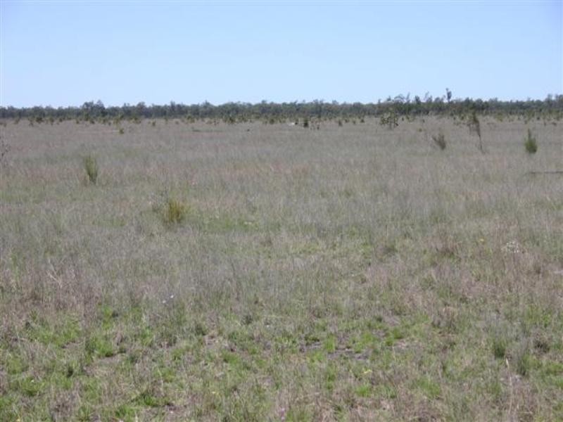 Tara QLD 4421