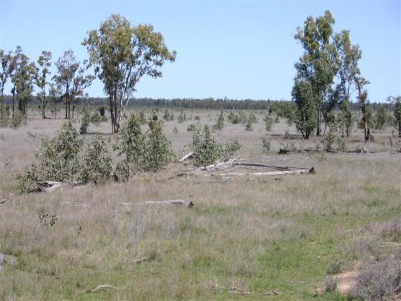 Tara QLD 4421