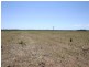 Tara QLD 4421