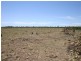 Tara QLD 4421
