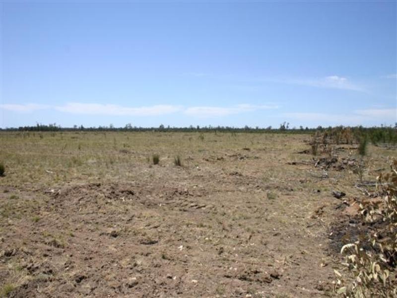 Tara QLD 4421