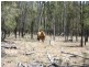 Tara QLD 4421