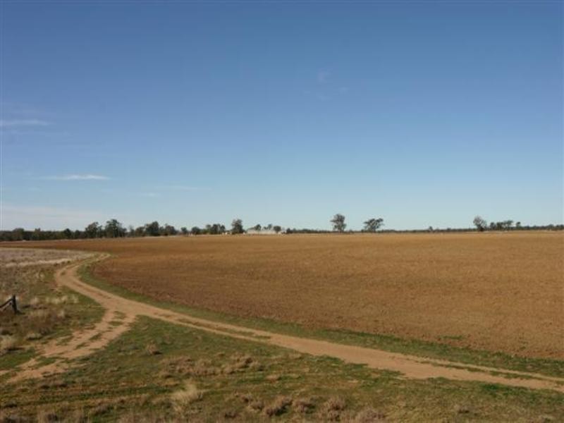 0 Wambo Downs, Chinchilla QLD 4413