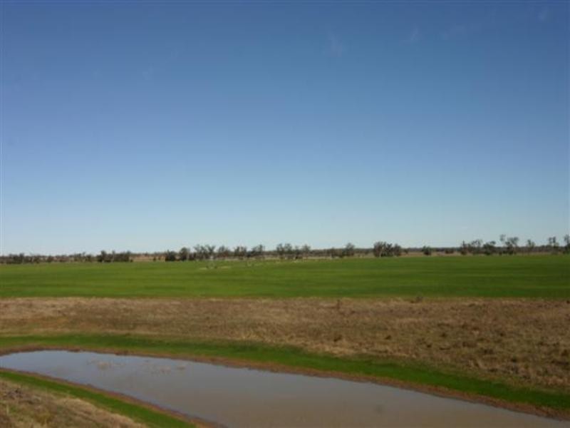 0 Wambo Downs, Chinchilla QLD 4413