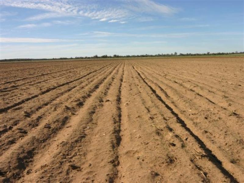 . Wambo Downs, Chinchilla QLD 4413