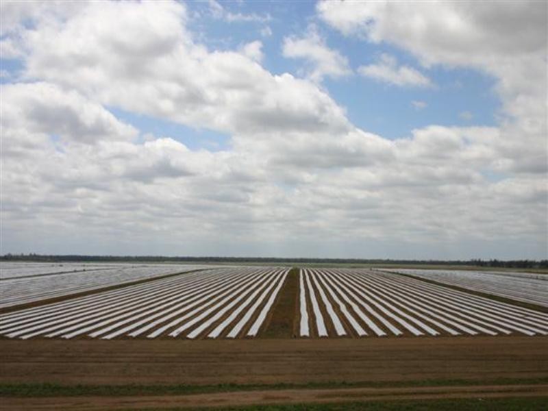 . Wambo Downs, Chinchilla QLD 4413