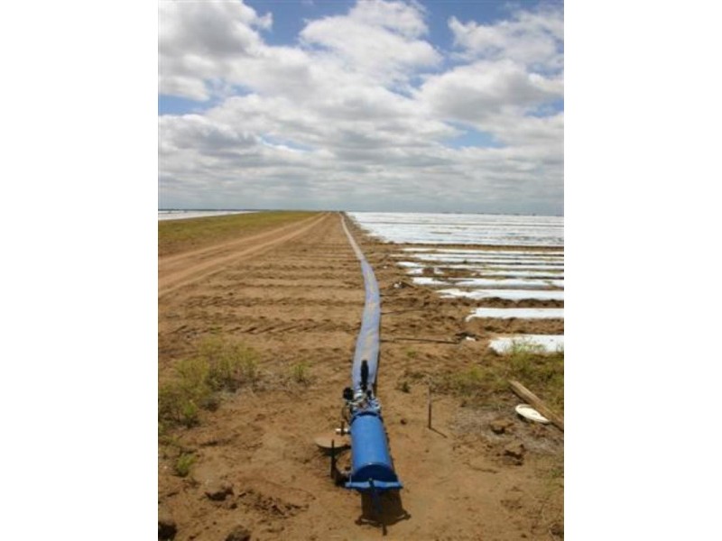 . Wambo Downs, Chinchilla QLD 4413