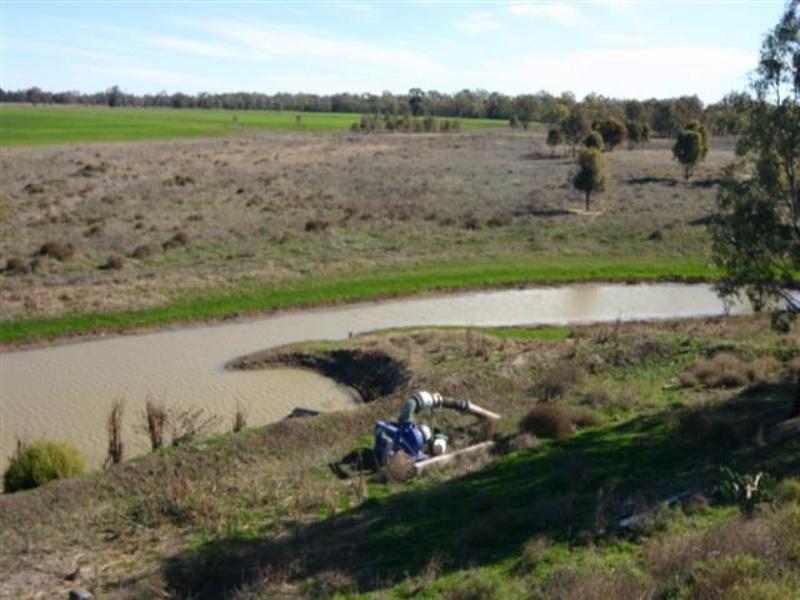 . Wambo Downs, Chinchilla QLD 4413