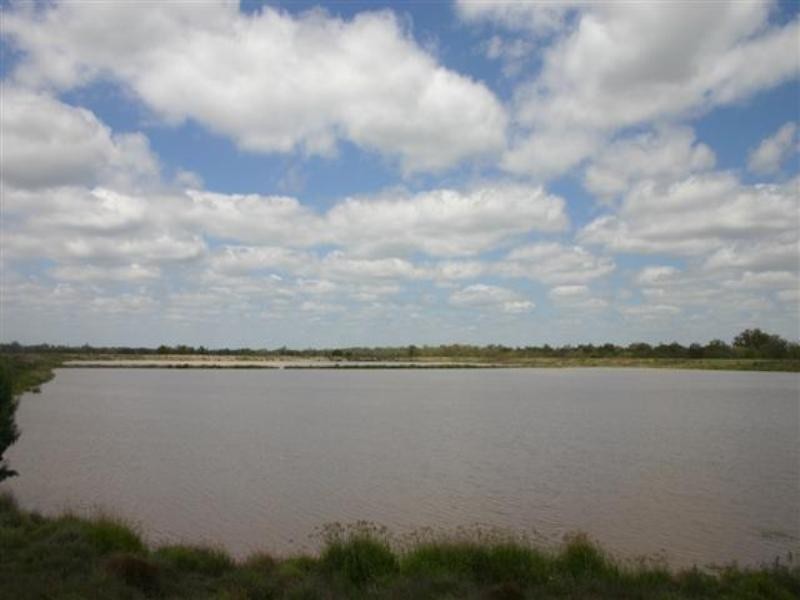 . Wambo Downs, Chinchilla QLD 4413