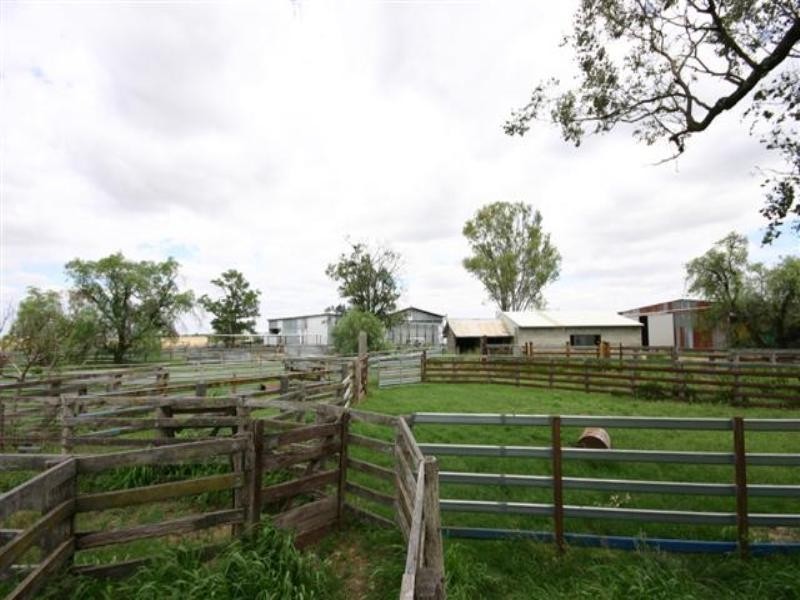 . Wambo Downs, Chinchilla QLD 4413