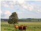 . Rosalie Plains, Oakey QLD 4401